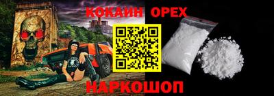 СК Новодвинск