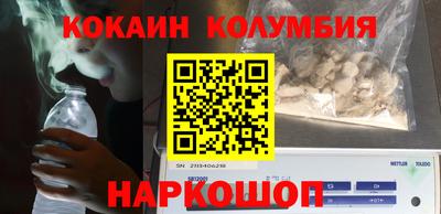 СК Новодвинск