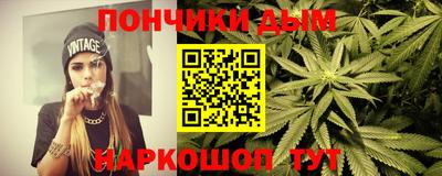 СК Новодвинск