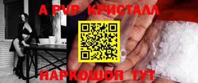 СК Новодвинск