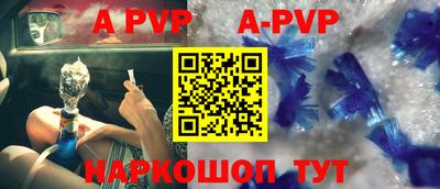 СК Новодвинск
