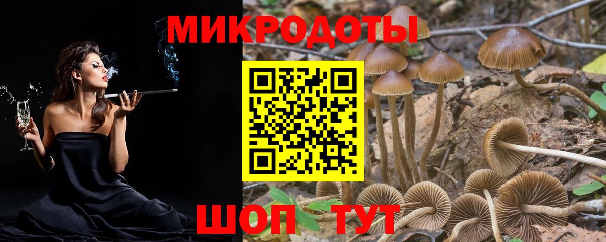 Псилоцибиновые грибы Cubensis  Вход с VPN  Псилоцибиновые грибы Psilocybine cubensis  Богородск 