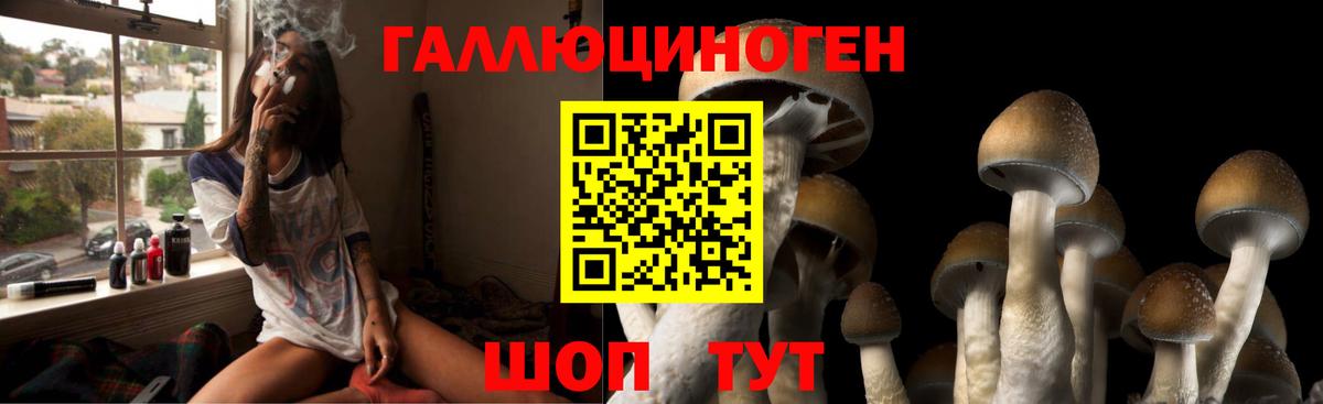 Галлюциногенные грибы Cubensis  Богородск  Псилоцибиновые грибы Psilocybe 